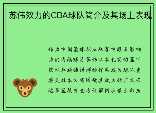 苏伟效力的CBA球队简介及其场上表现