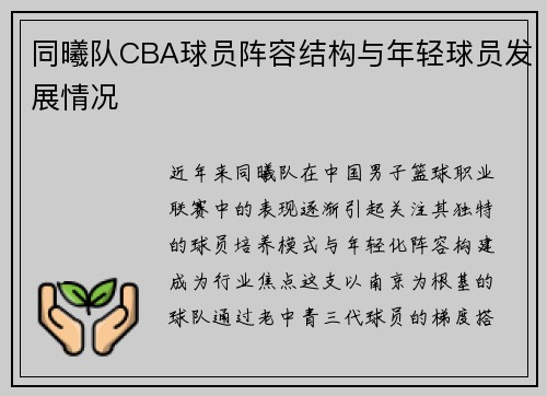 同曦队CBA球员阵容结构与年轻球员发展情况