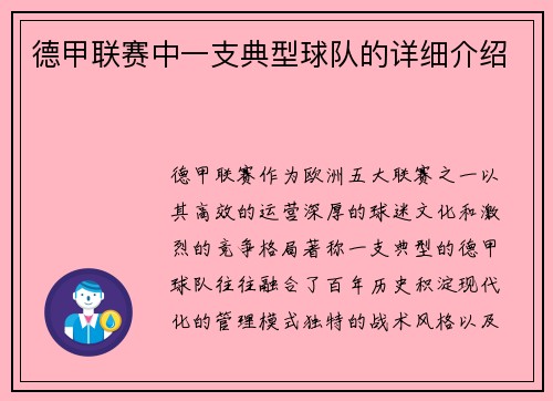 德甲联赛中一支典型球队的详细介绍