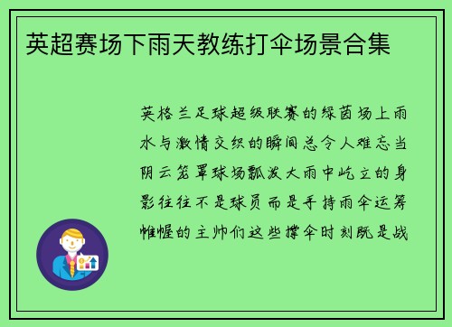 英超赛场下雨天教练打伞场景合集